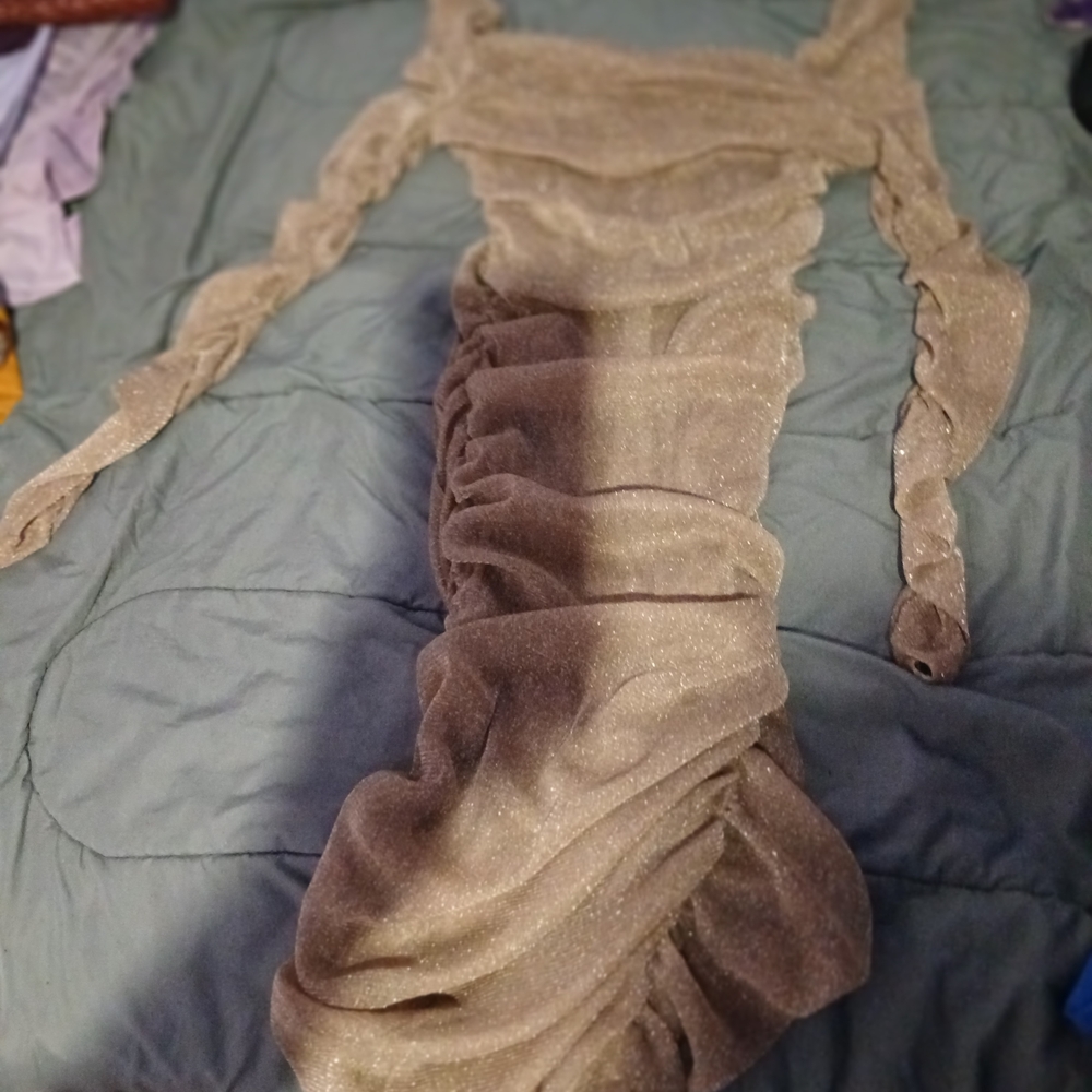 Sparkling Ruched Dress